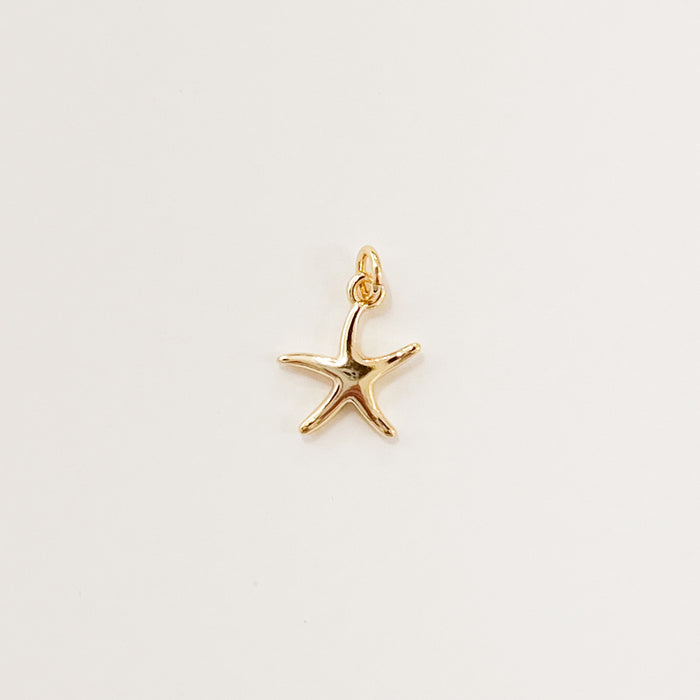 Mini golden starfish charm. 14k gold filled charm designed to mix layer on our charm builder necklaces and earrings, sold separately. Measures 3/8" x 3/8".