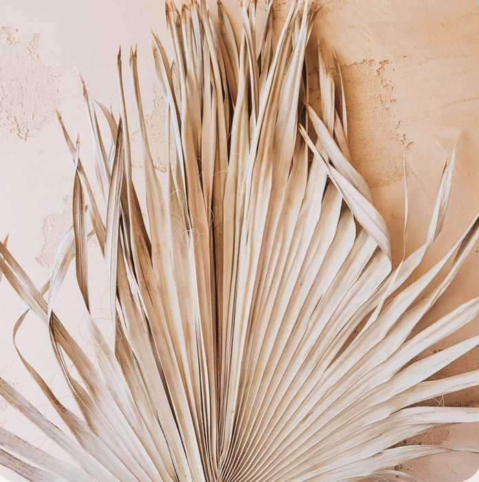 Jumbo Dried Palm Fronds
