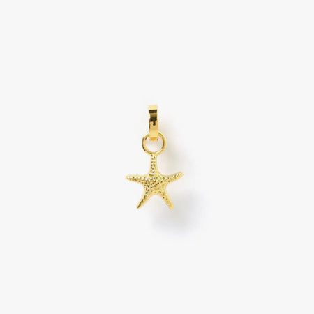Golden star fish charm. Designed to mix and layer on our charm builder necklaces, sold separately. 18k gold plating with E-coating to resist tarnish. Lead and nickel free. 3/8"