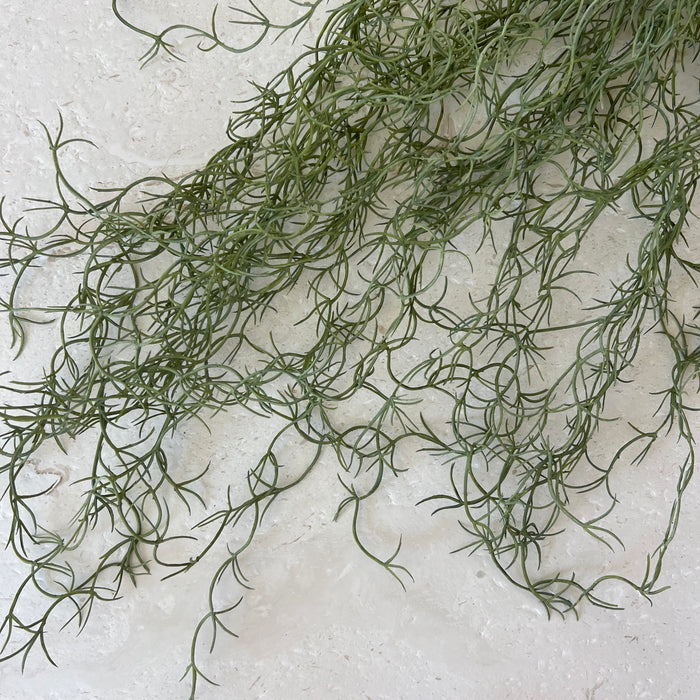Green Moss