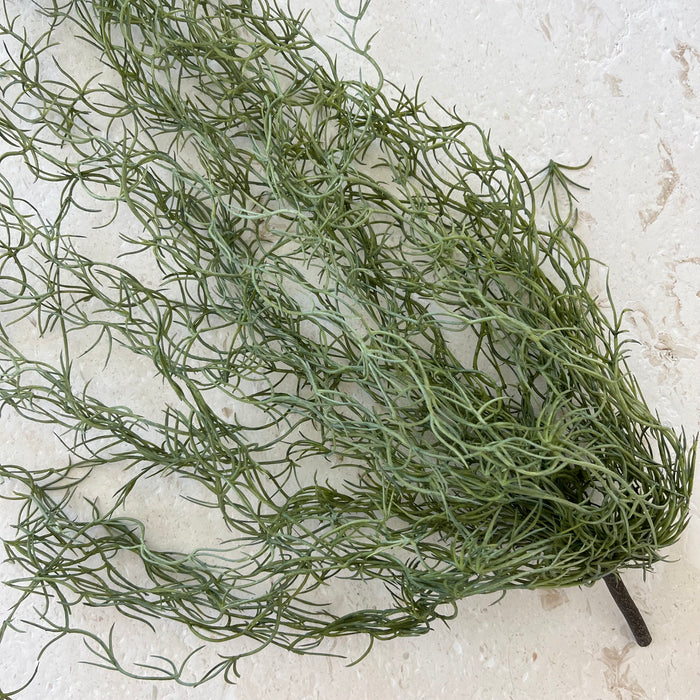 Green Moss