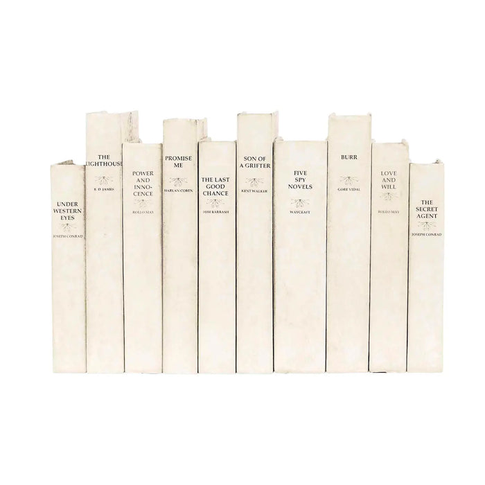 Parchment Wrapped Books