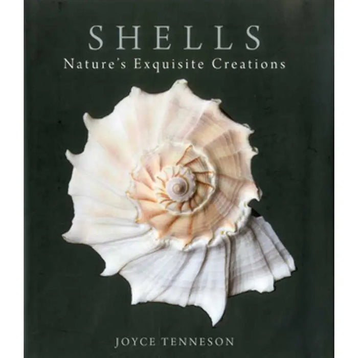 SHELLS by Joyce Tenneson