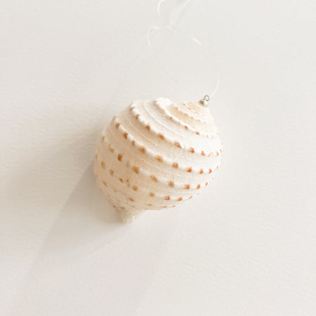 Natural white seashell ornament. Tonna Tessalata shell sprinkled with iridescent glitter and hangs from a thin monofilimant loop. Each will vary.