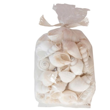 Assortment of white seashells for coastal decor. Each bag contains a varied assortment of approximately 22 oz of varied white shells.