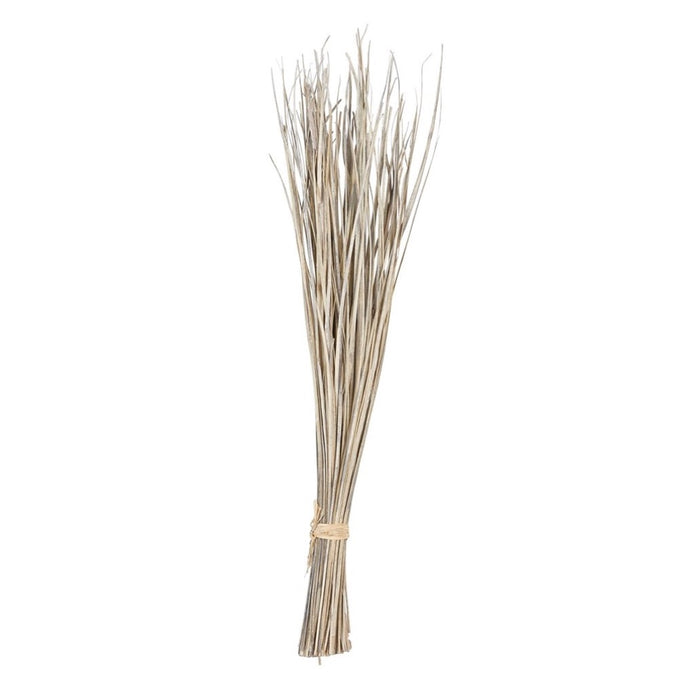 Dried Natural Grass bunch for coastal boho decor. Measures 36" H. Great natural texture for filling a large vase.