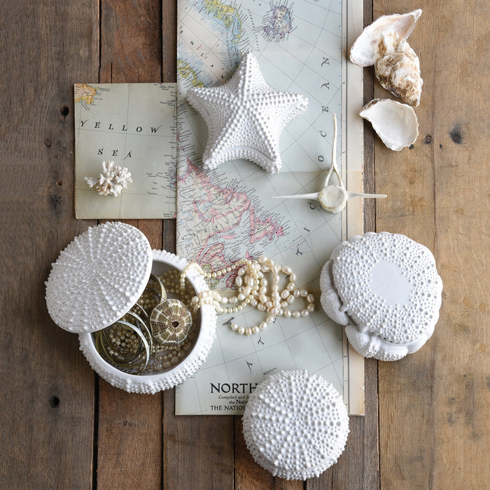 Coastal collection of ceramics featuring the urchin ceramic box, the perfect catch all for treasures, coins or keys. Each piece sold separately.