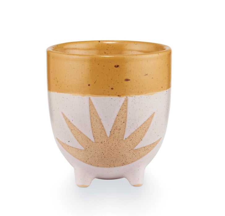 Shine ceramic candle from Illume. Soy wax candle with the fragrance of coconut leaves, citrus  and lily. Comes in a boho footed ceramic vessel. 48 hour burn time.