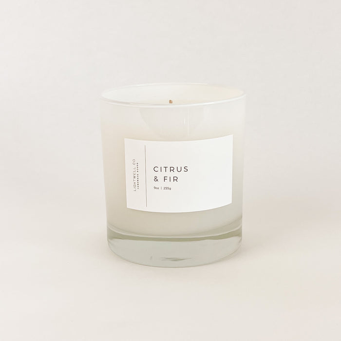 Citrus & Fir candle by Lightwell & Co. Hand poured candle with the fragrance of tropical fruit, sugared citrus and mountain fir. 55 hour burn time.